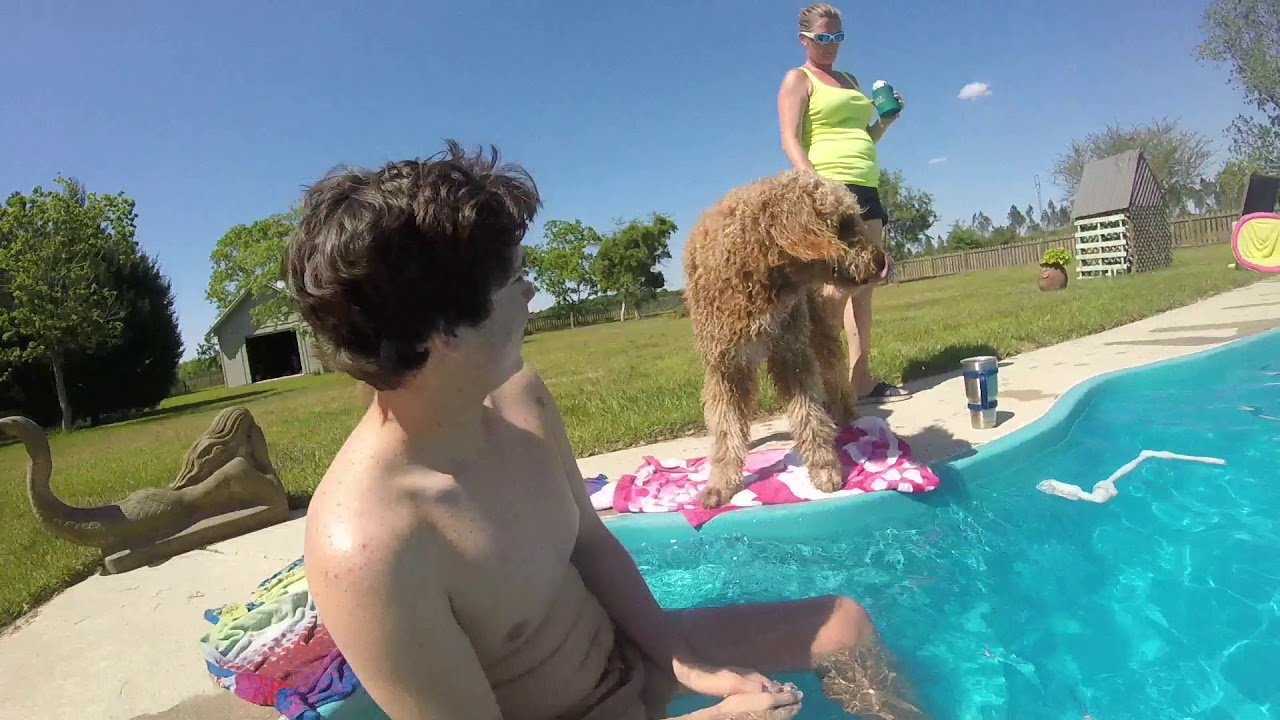Afternoon at the Pool|FoxFam