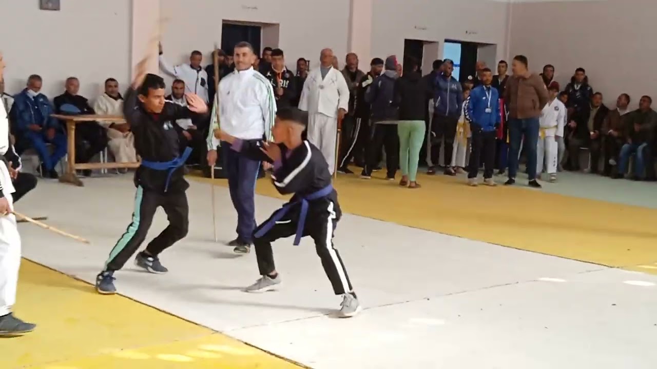 فن العصااا ولاية بوسعادة