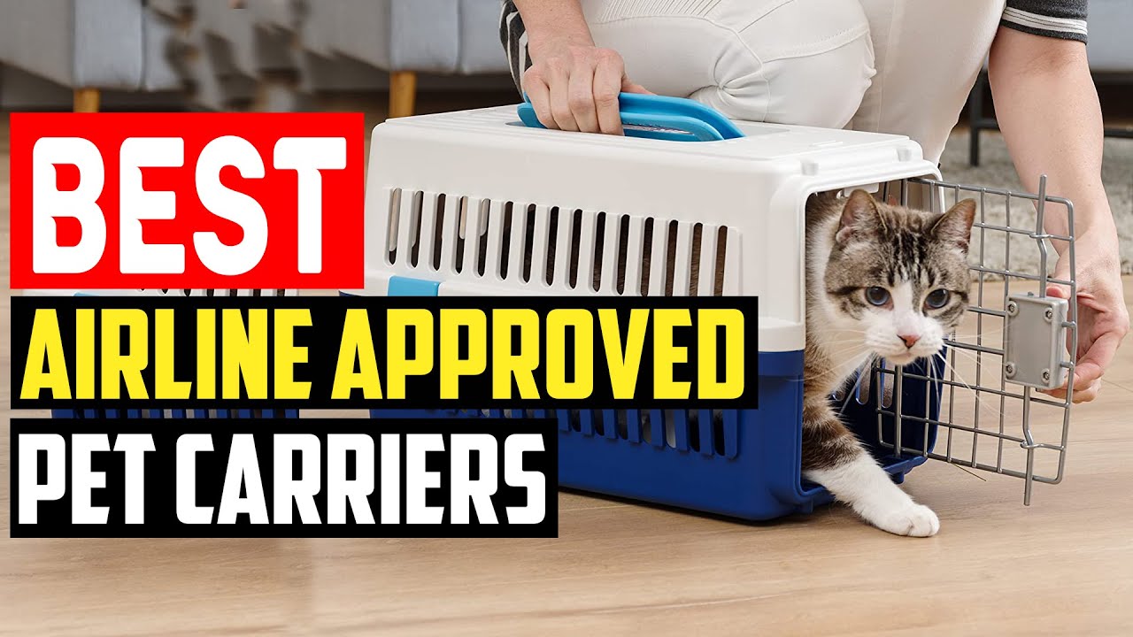✅Top 5 Best Airline Approved Pet Carriers in 2025
