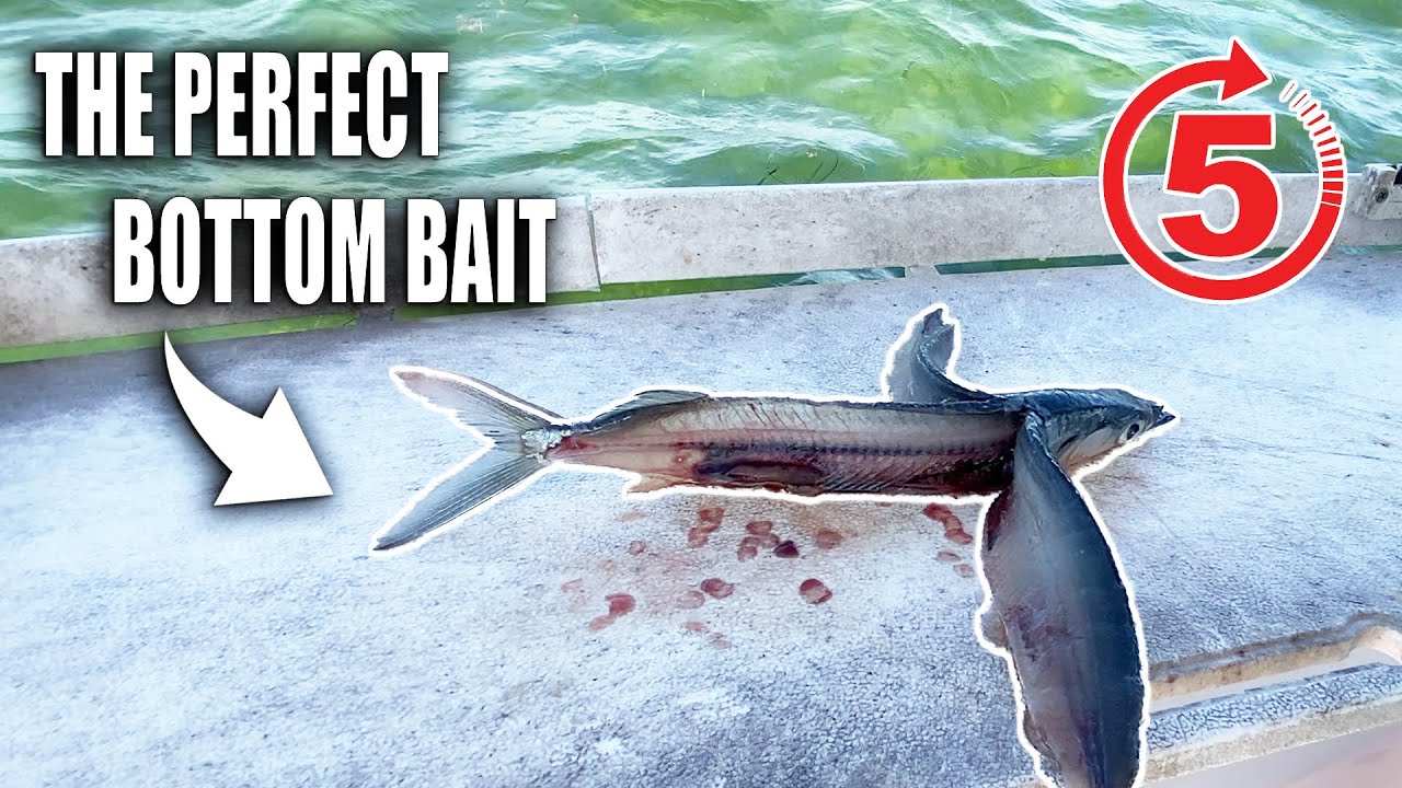HOW TO DEBONE BALLYHOO - Best bait for bottom fish | Gale Force Twins