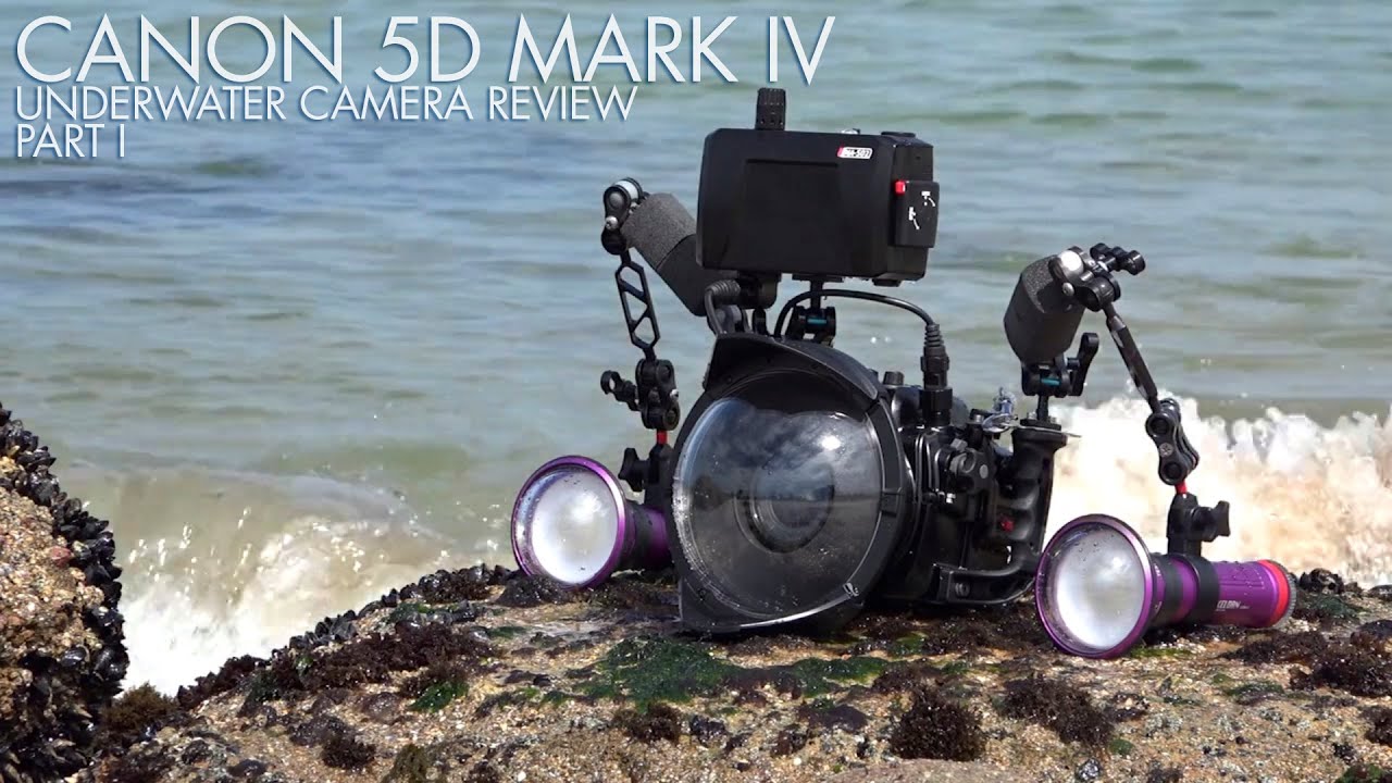 Canon 5D Mark IV Underwater Camera Review - Part 1