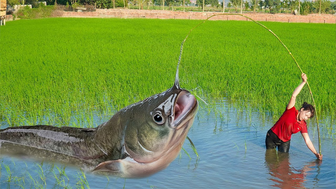 Massive Monster Fish Appears in the Field! 😱 Girl Fights Giant Catch in Real Life 🎣🐟
