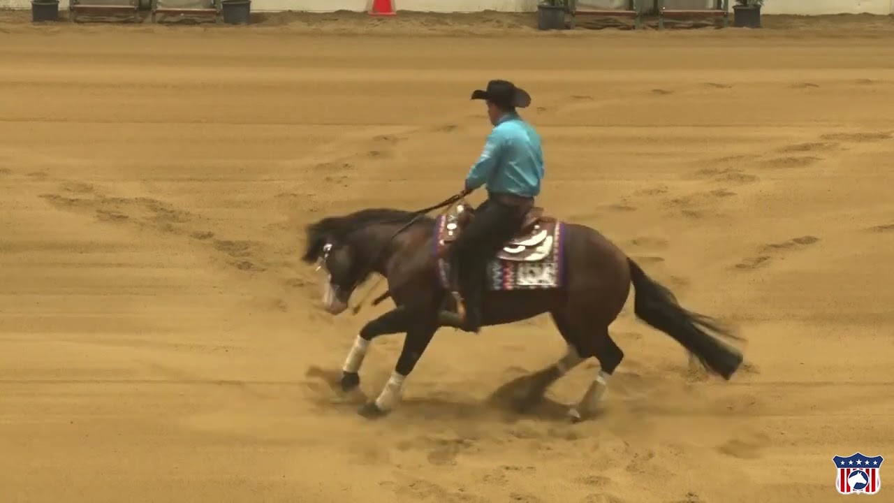 2023 Quarter Horse Congress Open Reining Finals Kole Price on Golden Coins