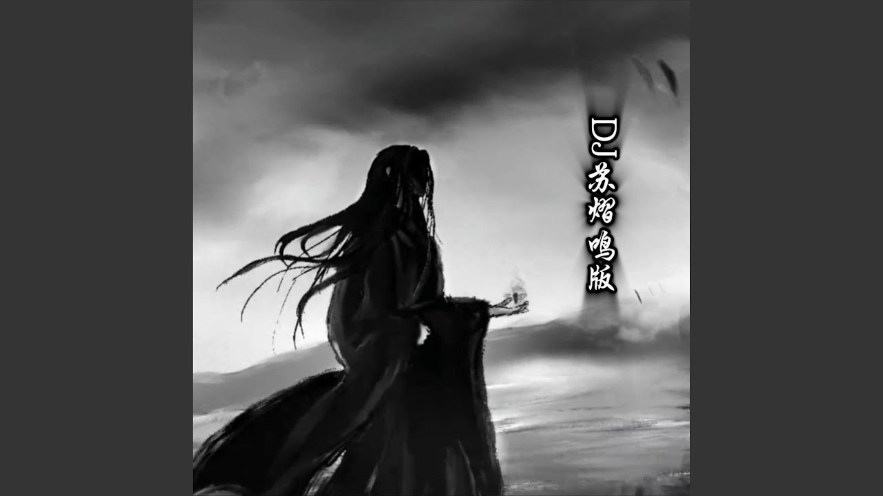 青丝 (DJ苏熠鸣版)