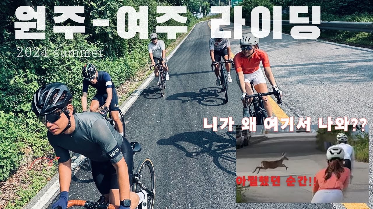 원주 여주 라이딩 | 카페라이딩 | 😱 고라니 조심!!!
