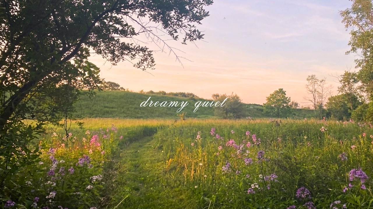 a playlist for dreamy quiet days🍀 (calm piano for studying & relaxing)