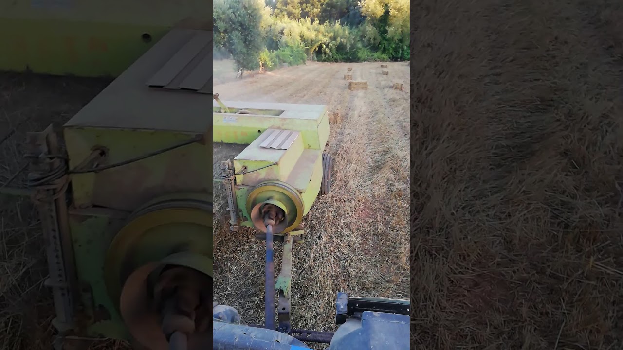 Lamborghini rf trend & Claas markant 50