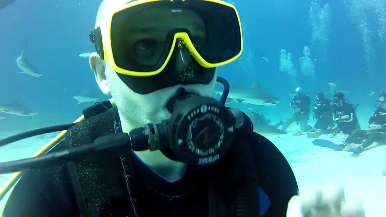 Stuart Cove Shark Diving, Nassau Bahamas
