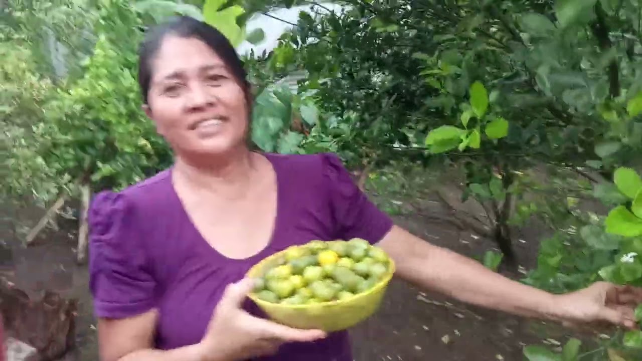 harvess sa tag lemoncito guys 