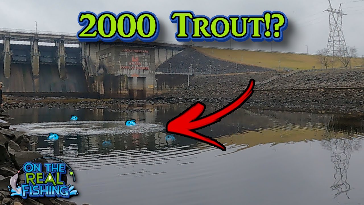 Middle Tennessee Winter Trout Stocking Has Begun! (2023-2024)