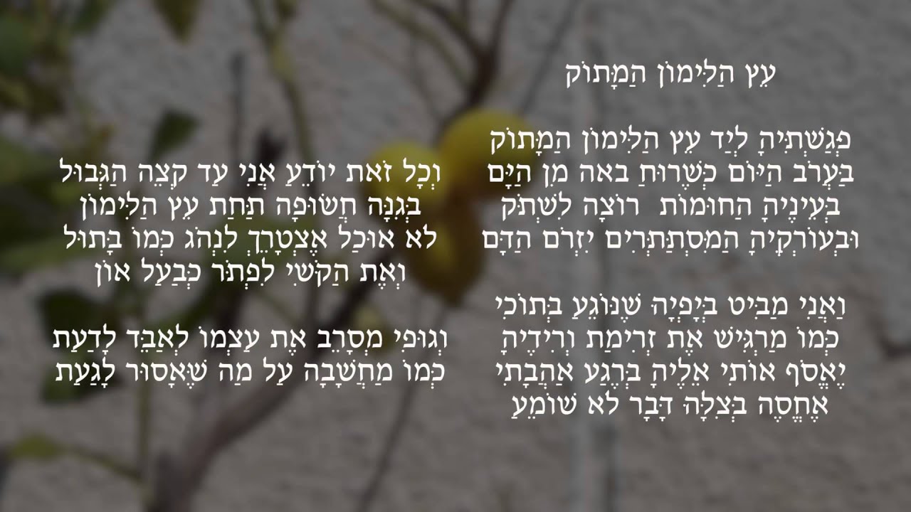 דוד ברבי כתב הלחין ושר את 