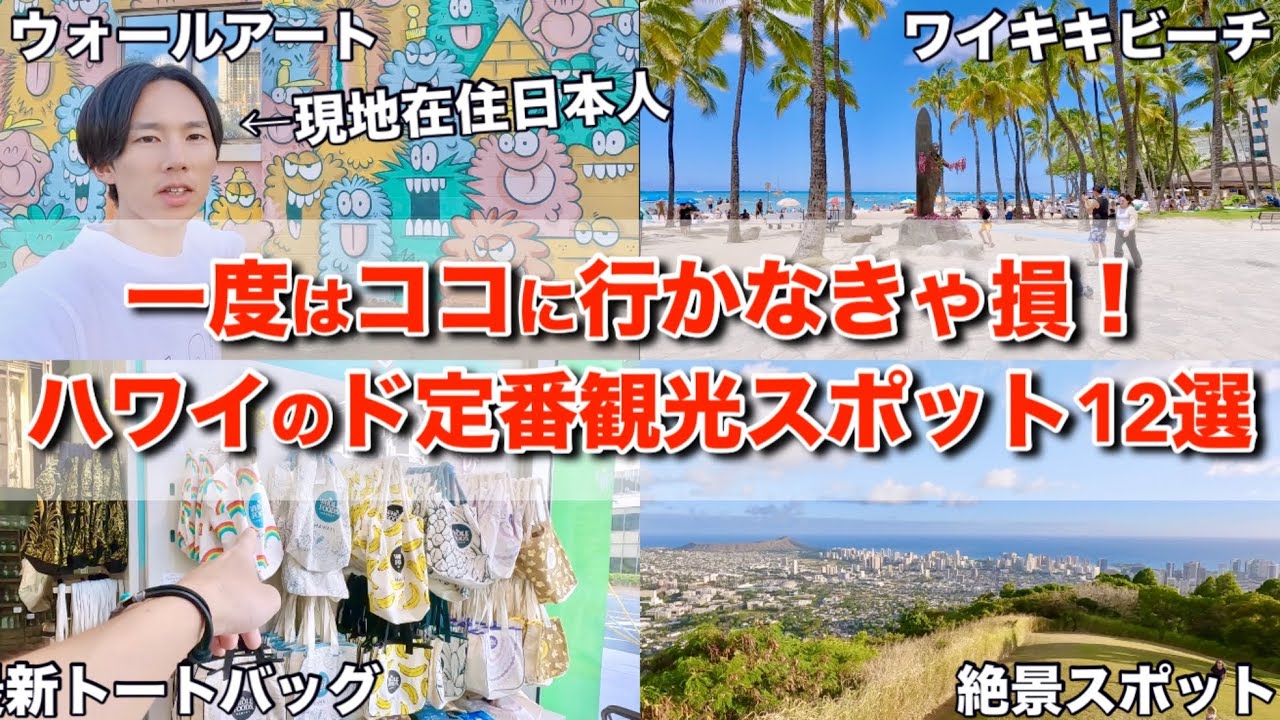 ハワイのド定番観光スポットをプロのツアーガイドに紹介してもらっていたらガチの恋愛相談が始まりました