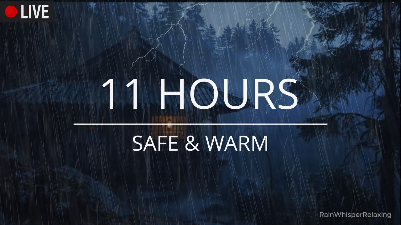 Rainy Night Cabin in the Forest 🌧️ Cozy Thunder & Rain Sounds for Deep Sleep | ASMR Relaxation