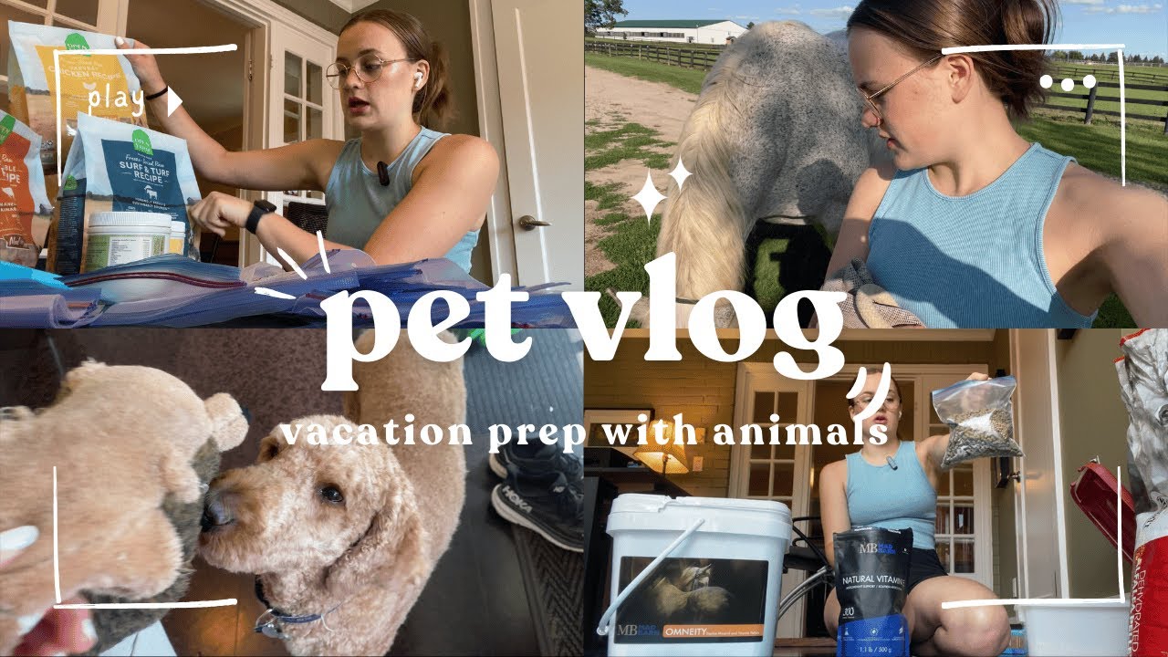 Prepping for a 10 day trip as a pet parent | meal prep, organizing, and last minute vet trip!