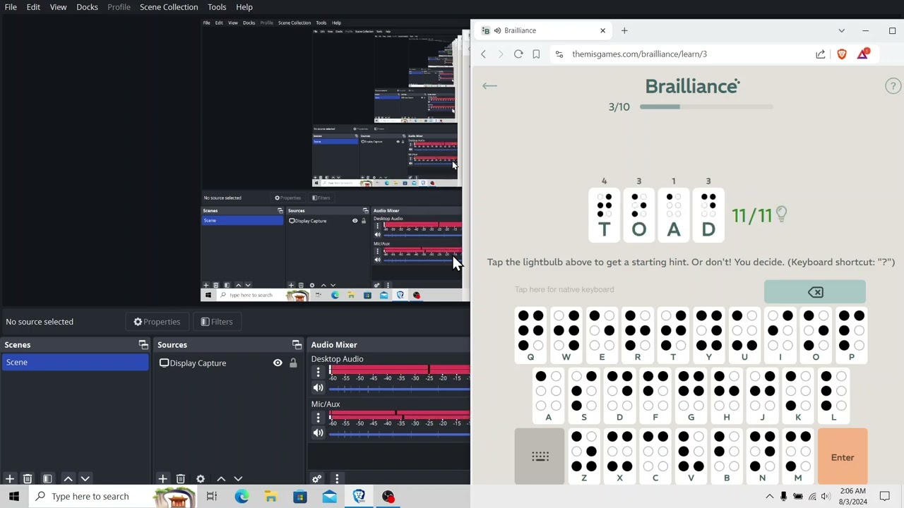 Playing a Game Called brailliance.
