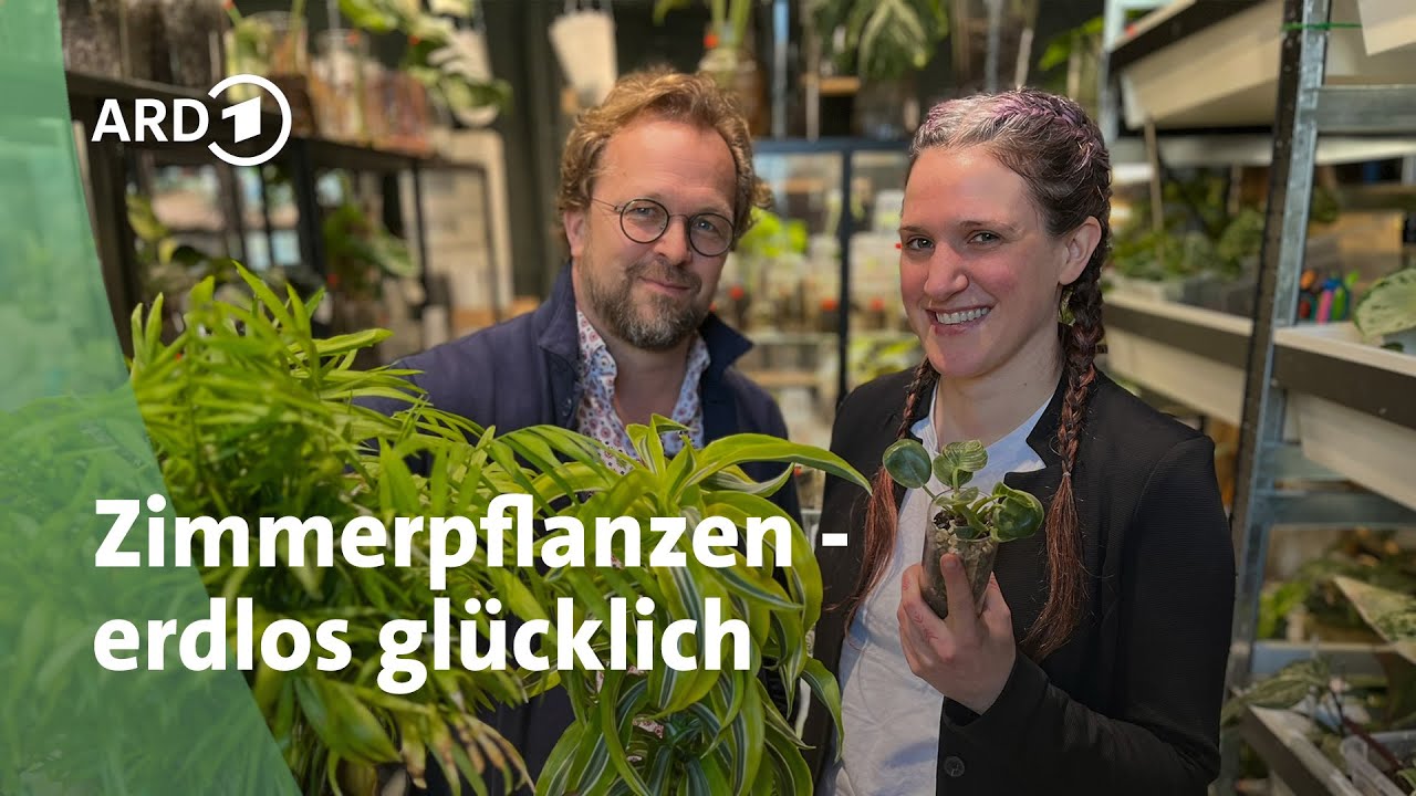 Hydrokultur: So gedeihen Zimmerpflanzen in Töpfen ohne Erde | MDR Garten