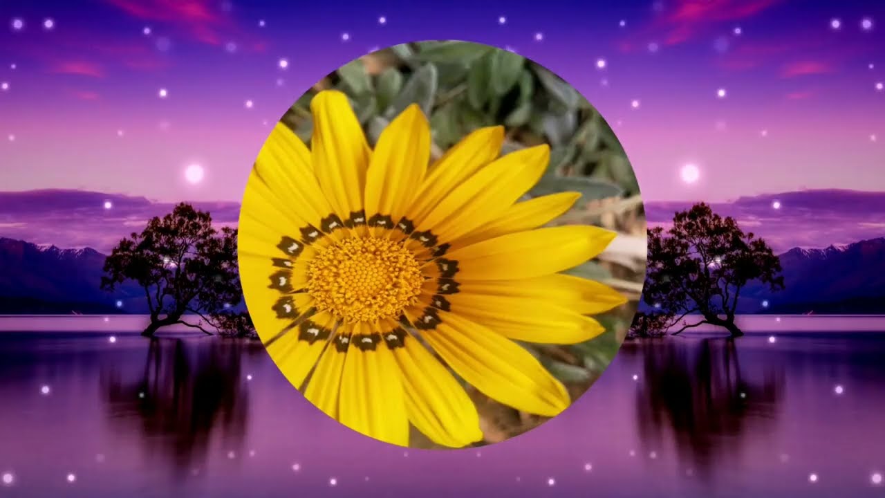 RELAX AND SLEEP / RAHATLA VE UYKU #relax #rahatla #m&uuml;zik #rahatuyku