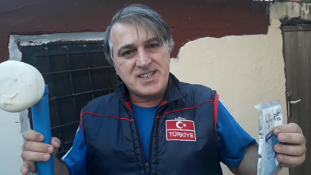 Güvercinlerde at sineği bit pireye kesin çözüm yavruya zarar vermez 0543 955 51 55 posta güvercin