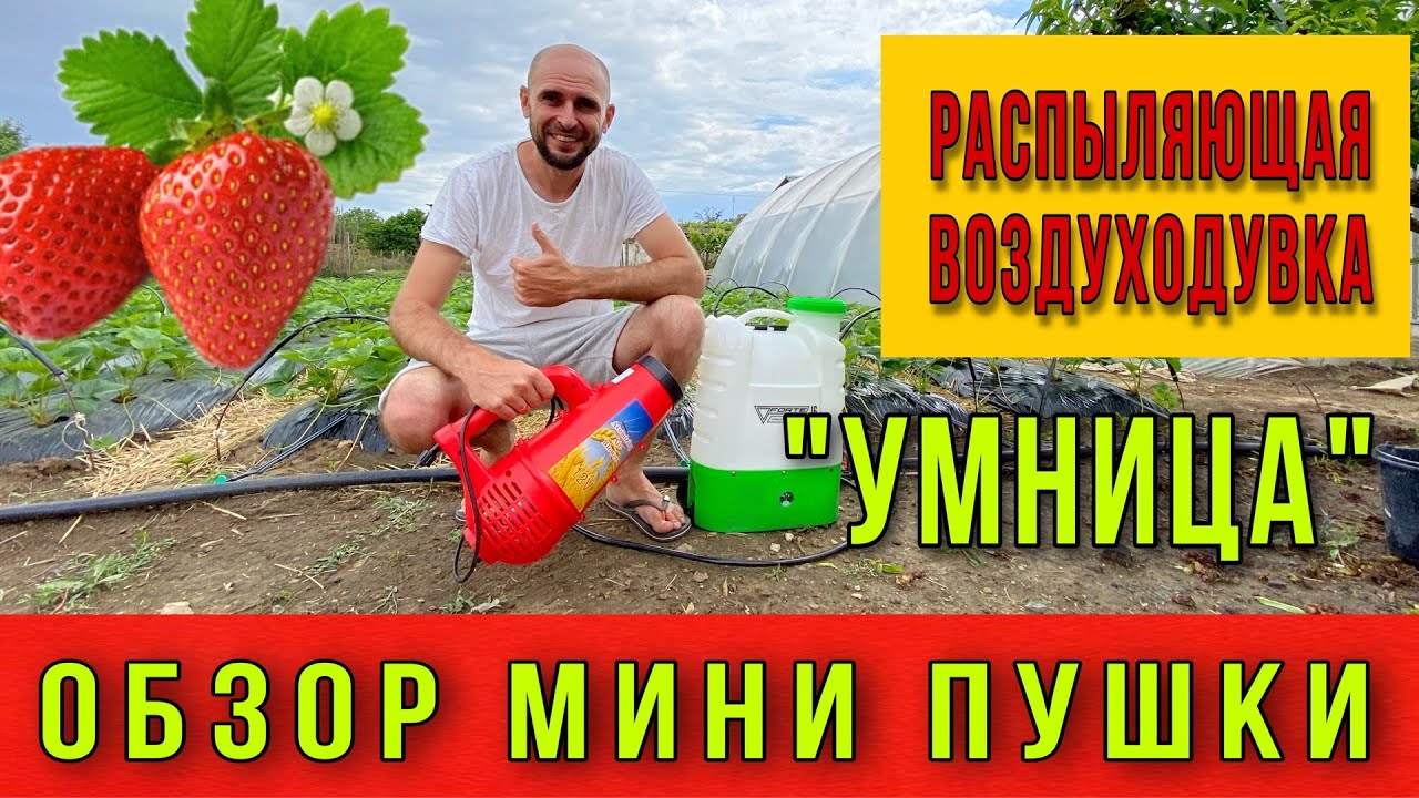 ОБЗОР: РАСПЫЛЯЮЩАЯ ВОЗДУХОДУВКА «УМНИЦА». Мини пушка