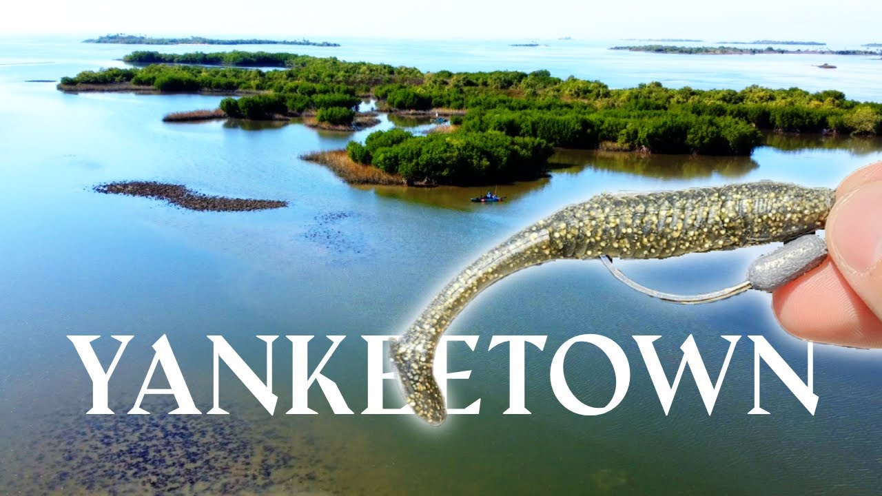 Exploring Yankeetown Inshore Fishing — Redfish, Trout & a Snook Hunt