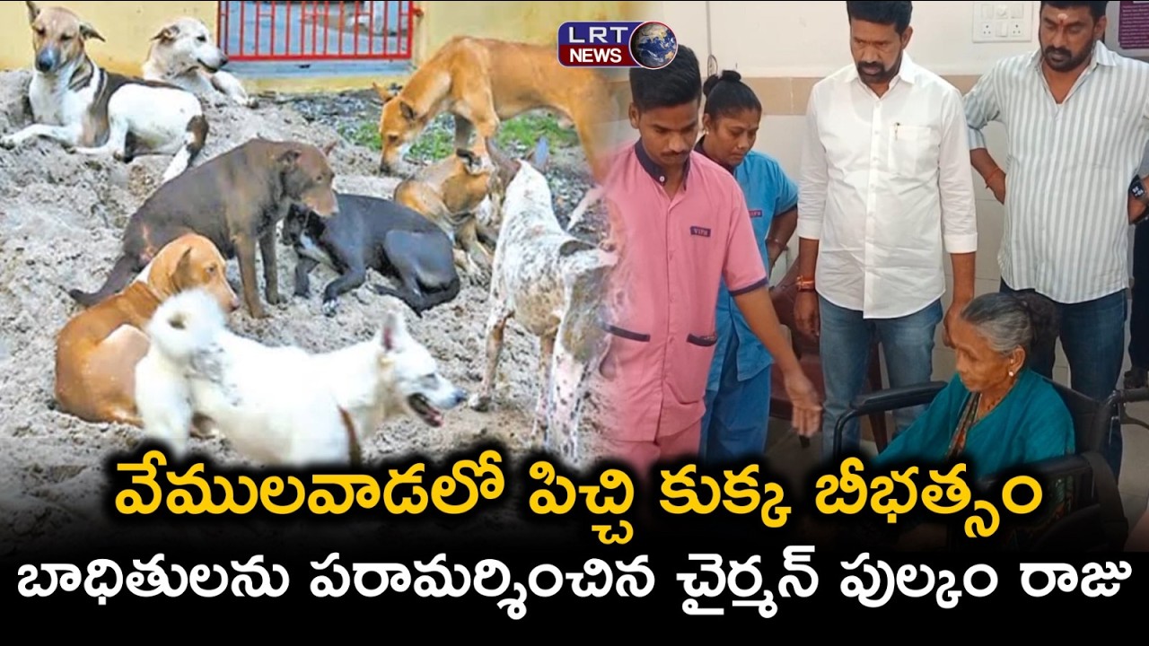 వేములవాడలో పిచ్చి కుక్క బీభత్సం – బాధితులను పరామర్శించిన చైర్మన్ పుల్కం రాజు ||| LRTNEWS