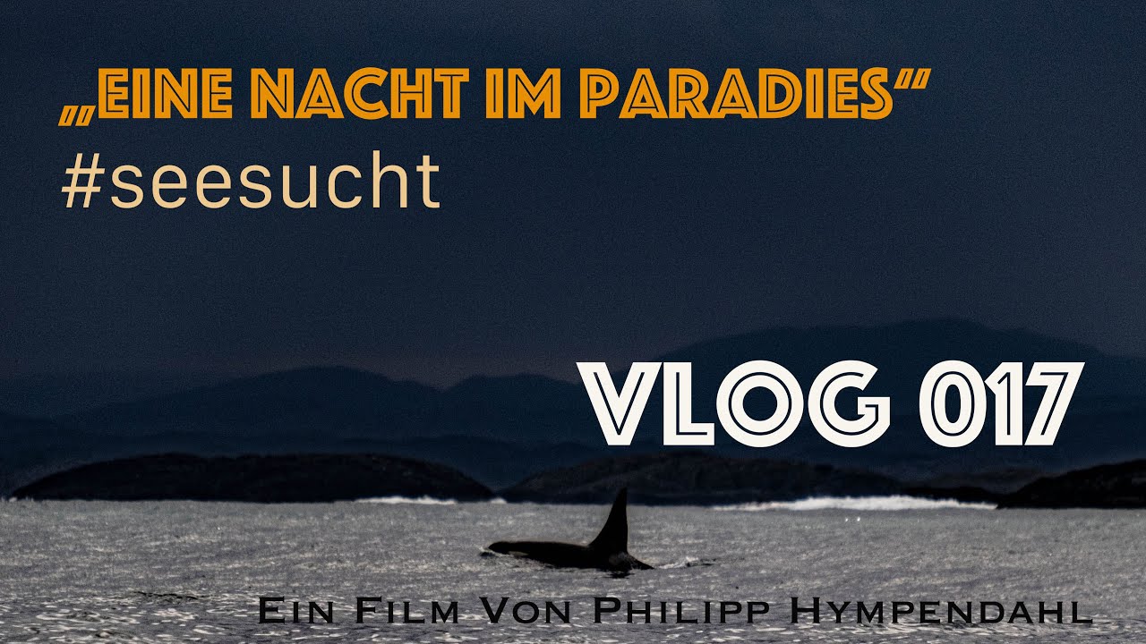 Orcas begleiten die 