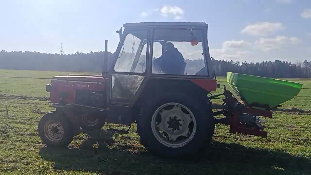 Siew saletrzaku na przezyt 