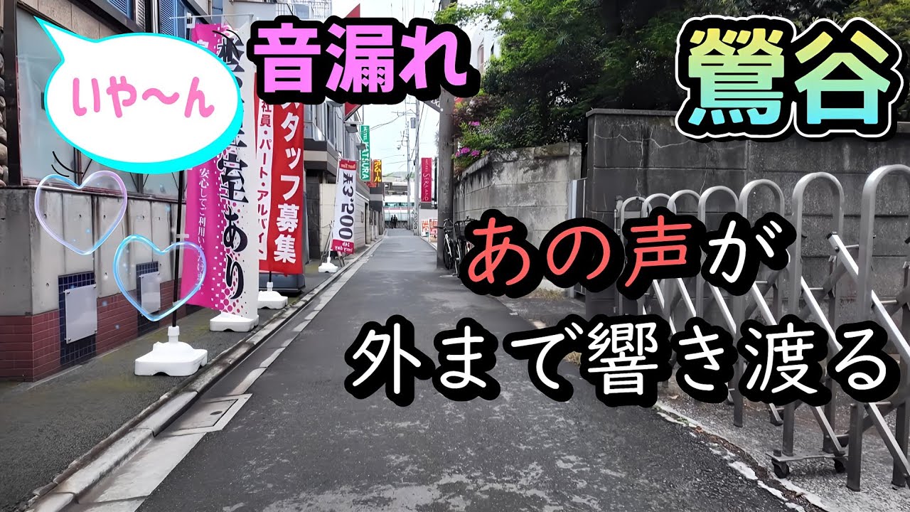 【またかよ】鶯谷を散歩していたらカップルの声がこだましていた!!