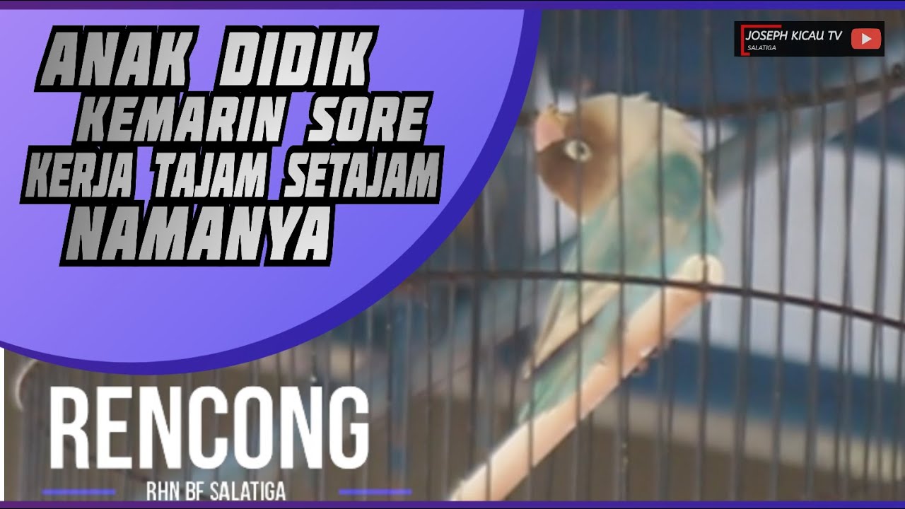 Anak Didik Kemarin Sore Kerja Tajam Setajam Namanya Rencong | Gendub Rhn Bf Salatiga