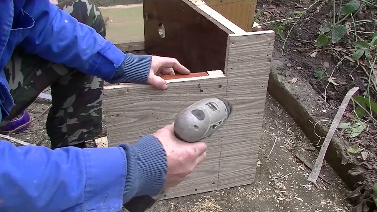 Делаем гнездо для кур с яйце приемником , с малыми затратами