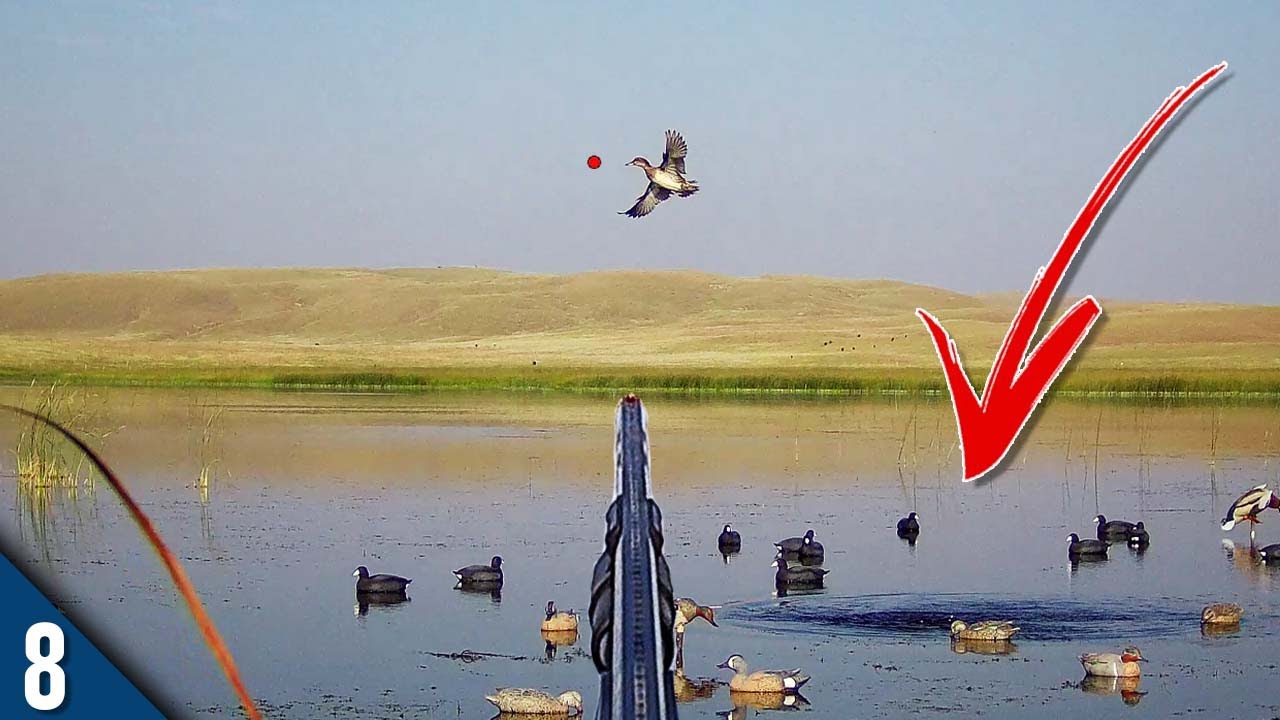 COOT Decoys Got The Ducks In CLOSE! (Limited Out) | Duck Hunting 2023