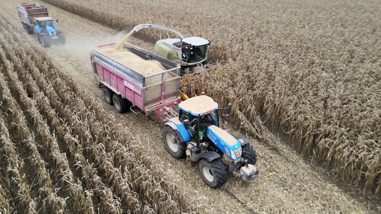 MKS hakselen met 'Agri Van Damme'