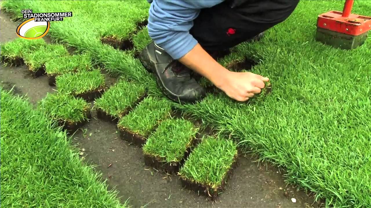 Behind the Scenes - Ein Tag als Greenkeeper