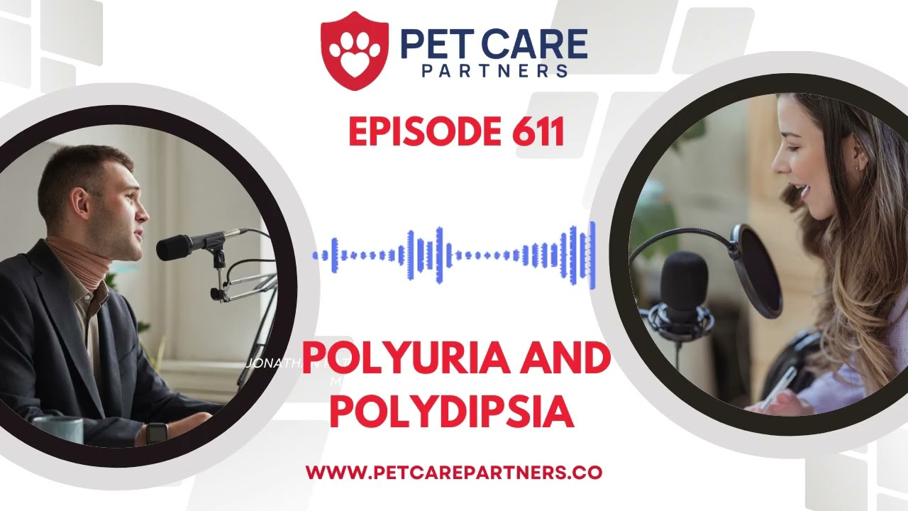 Polyuria & Polydipsia in Pets: Causes, Diagnosis, and Treatment | Pet Care Partners Podcast Ep. 611