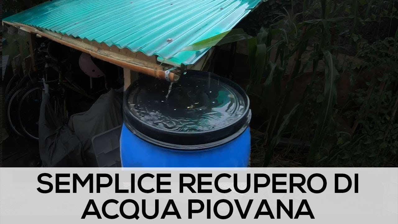 Raccolta ACQUA PIOVANA Fai da te 200 litri