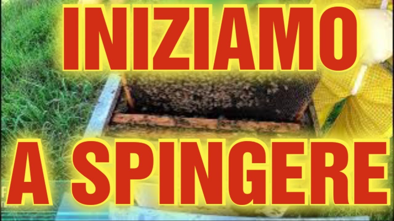Apicoltura CD: Iniziamo a stimolare le nostre api!