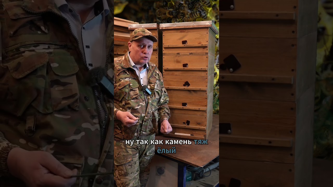 ППУ, ППС или дерево  КАКОЙ УЛЕЙ ЛУЧШЕ.  #пчеловодство #пчелы