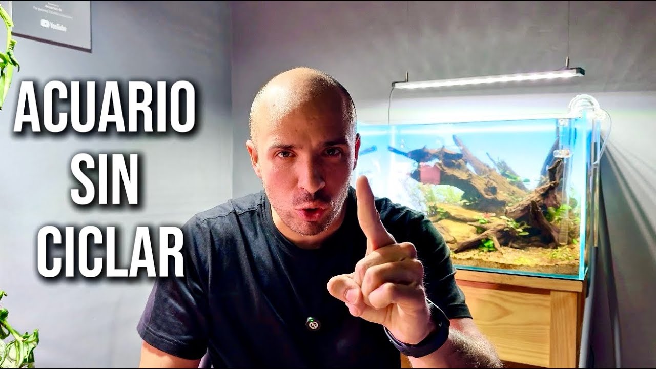 El ciclado NO siempre acaba en 1 MES ❌ | EL FACTOR INVISIBLE 3.