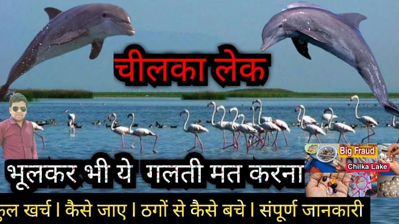 Chilika Lake puri | Chilika Lake Full Information| Chilika Lake Full Tour Guide | Chilika Lake Fraud