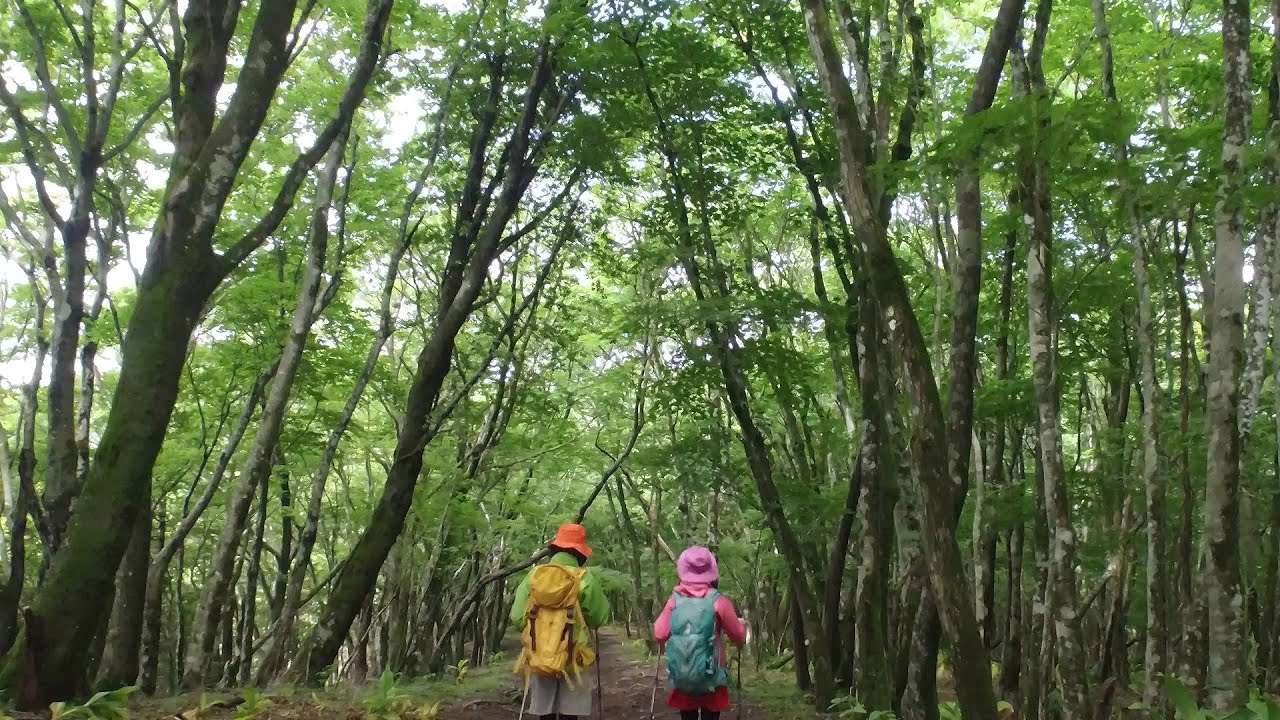 高指山・明神山ハイキングコース