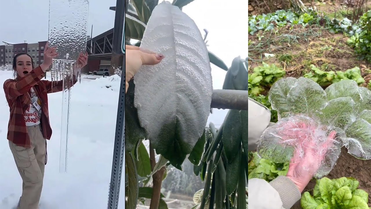 Satisfying Winter Moments Caught on Camera #satisfyling #winter