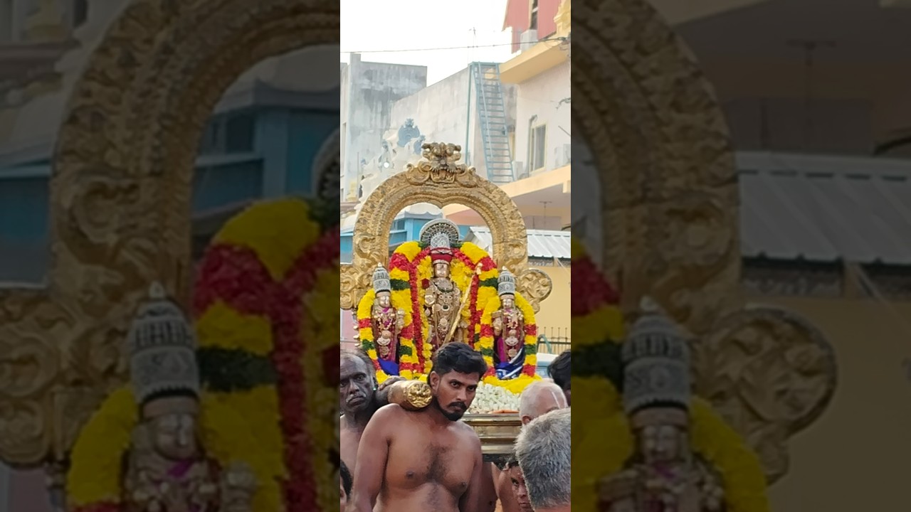 வைத்திய வீரராகவர் மண்டப தரிசனம் திருவள்ளூர்.