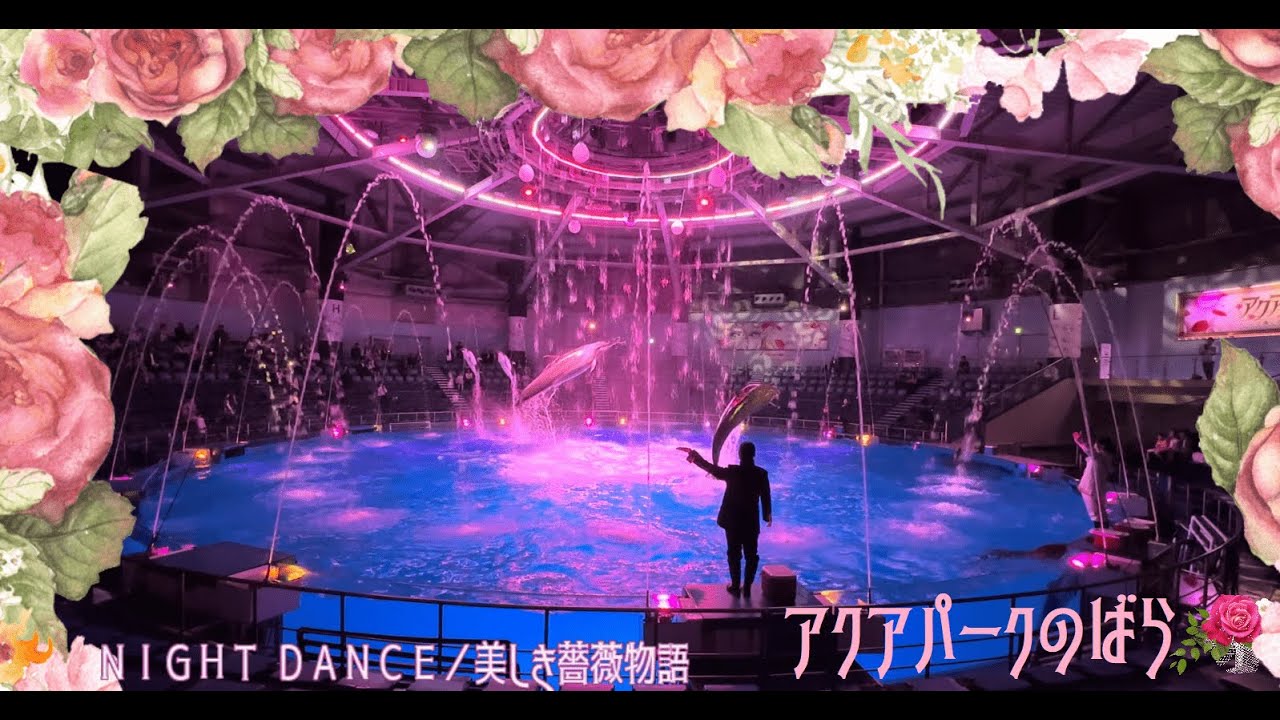 【完全版】マクセルアクアパーク品川 ドルフィンパフォーマンス（イルカショー）　ナイトVer.「NIGHT DANCE 美しき薔薇物語」【4K】