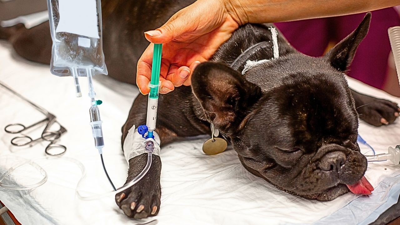 DESABAFO CONTRA PÉSSIMOS PROFISSIONAIS NÃO ACEITE QUE TE DIGAM ISTO