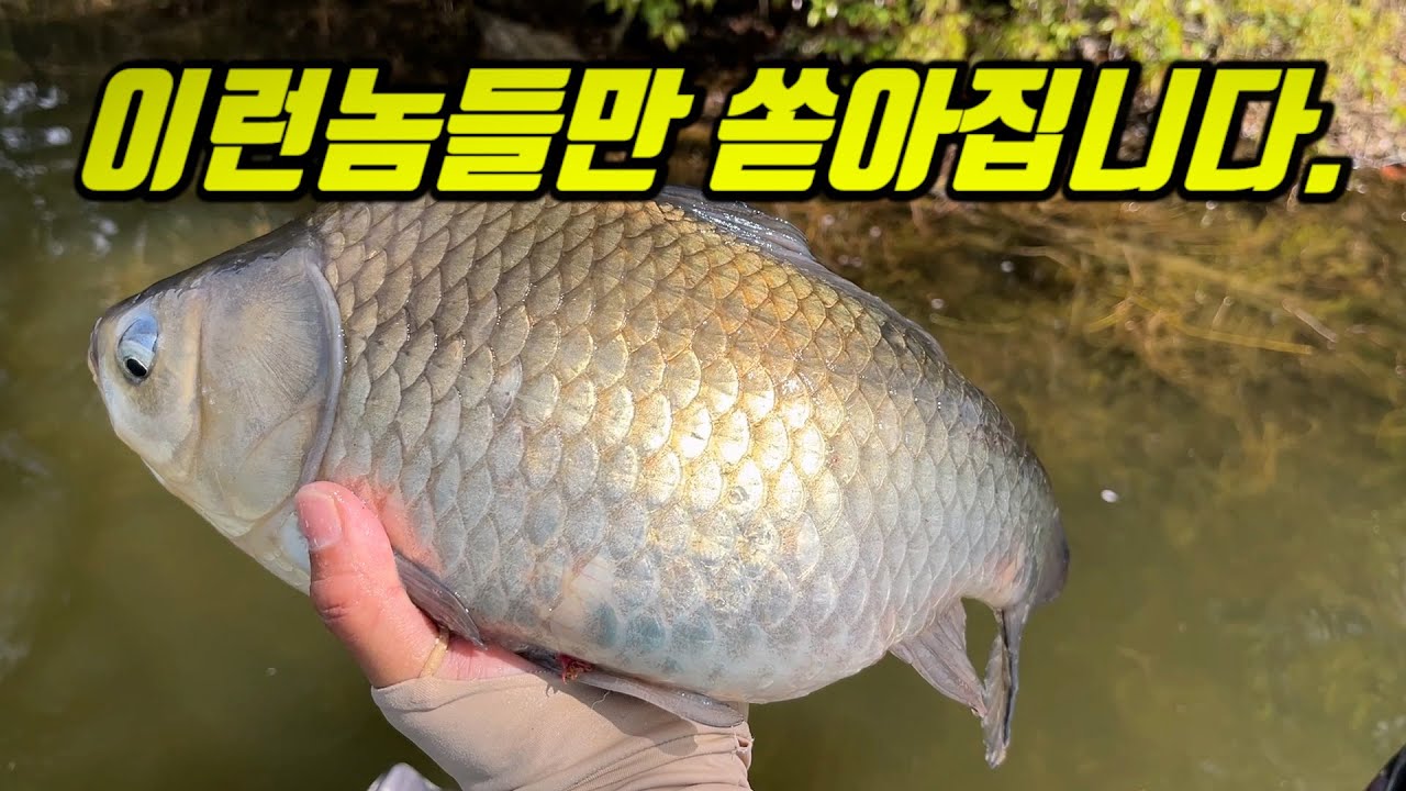 진짜 미쳤다!!! 이런 대물들로 오전에만 20마리가 가능한 곳!??