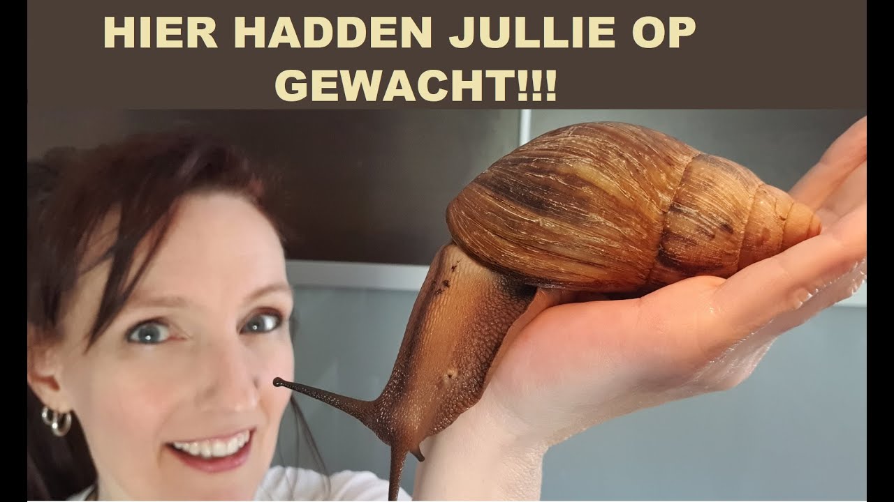 Hier hadden jullie op gewacht!! REUZEN SLAKKEN VIDEO