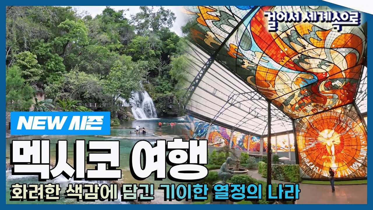 [✨NEW✨#걸어서세계속으로📺] 화려한 색감에 담긴 기이한 열정의 나라 '멕시코정원' 여행 Trip to Mexico (KBS_20230610)