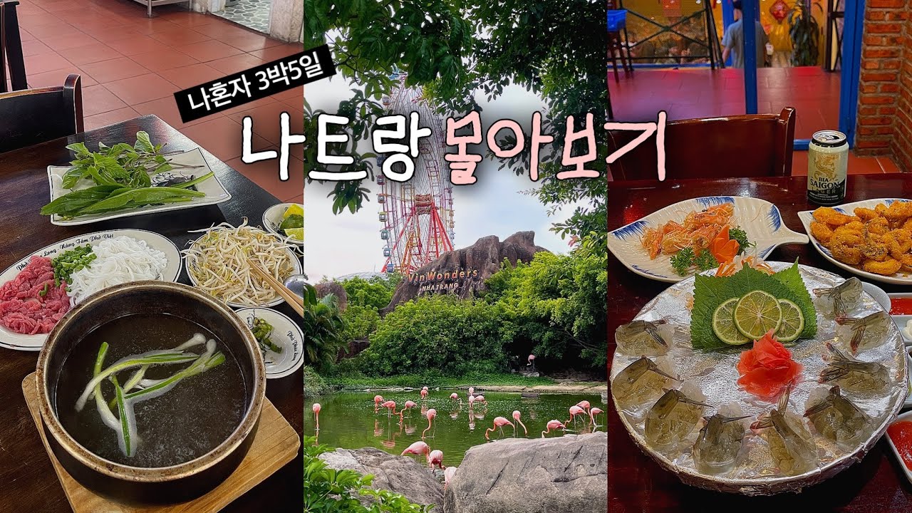 3박 5일 나혼자 나트랑 여행 몰아보기💞 구글맵 링크 더보기란 참고하세요