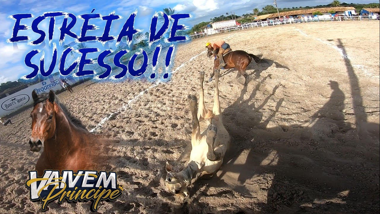 TREINO PUXANDO DE UM PROFISSIONAL - ESTREIA VAIVEM PRÍNCIPE - FUGA DO BOI RAJADADO! #visãodoesteira