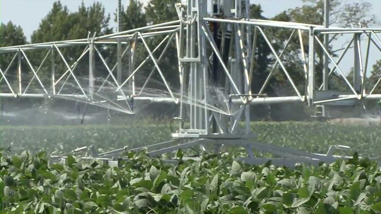 Project Overview:  Irrigation Techniques to Maximize Soybean Yields